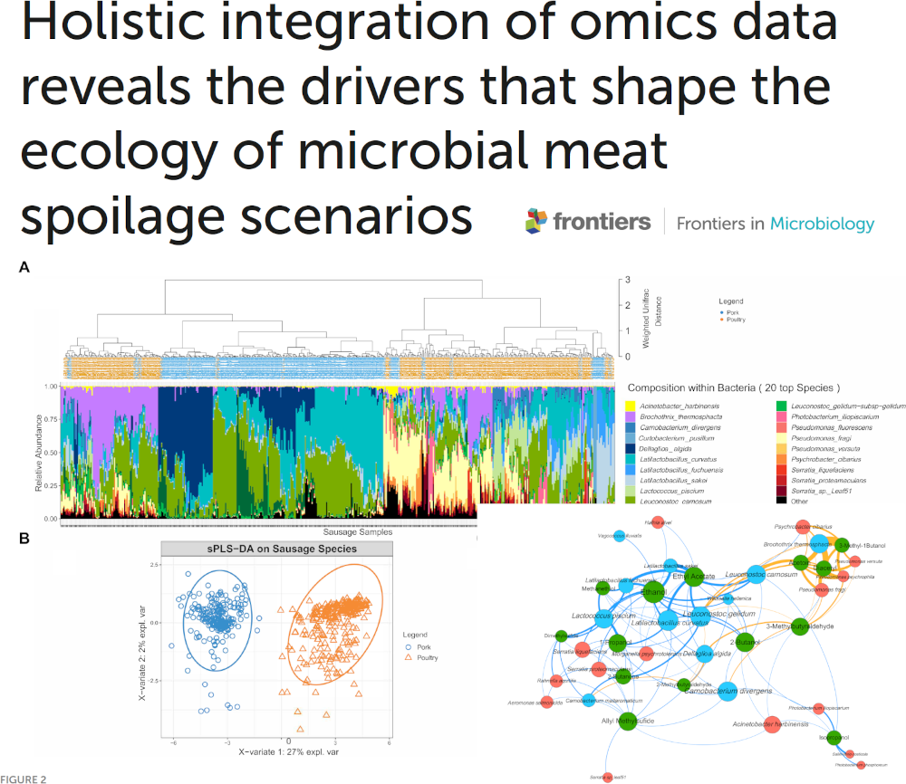 Food microbial fluxes under the magnifying glass of multi-omic data integration