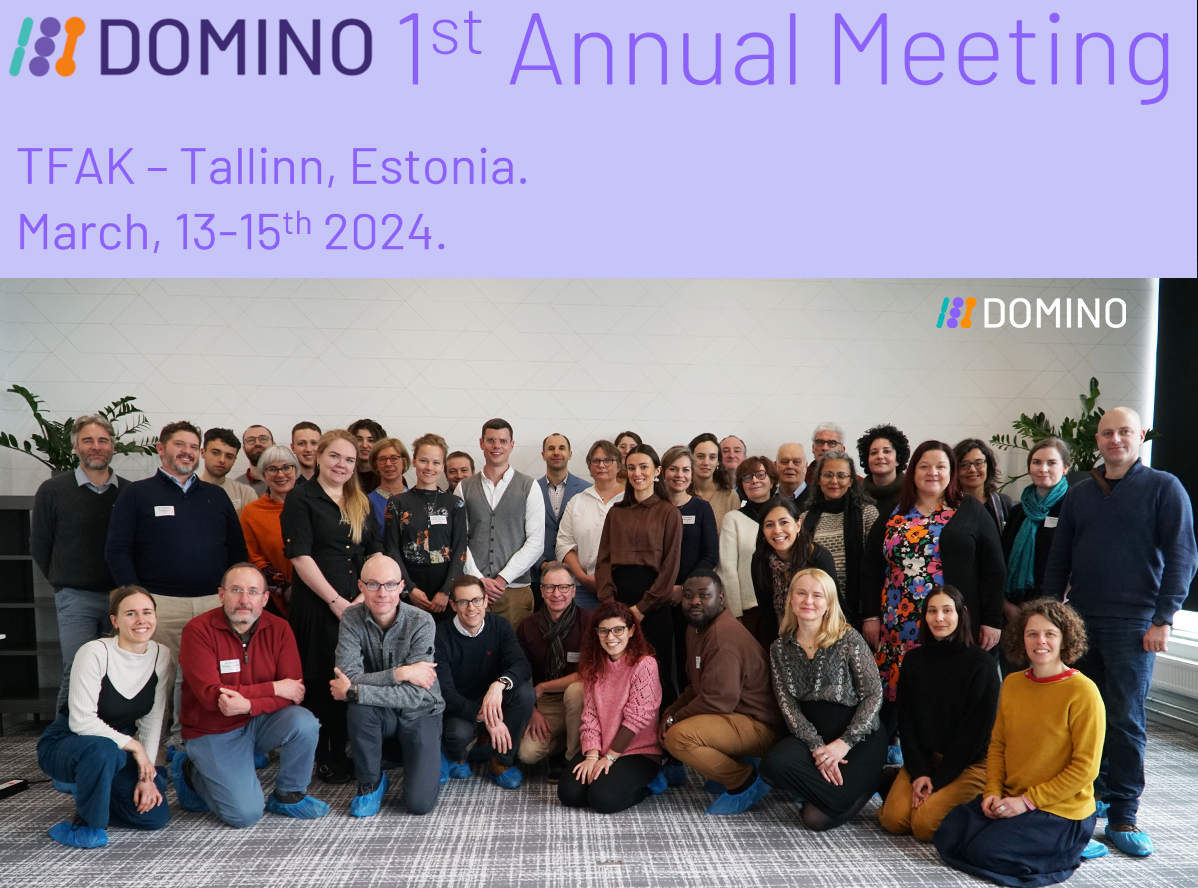 Domino 1st annual meeting in Tallinn