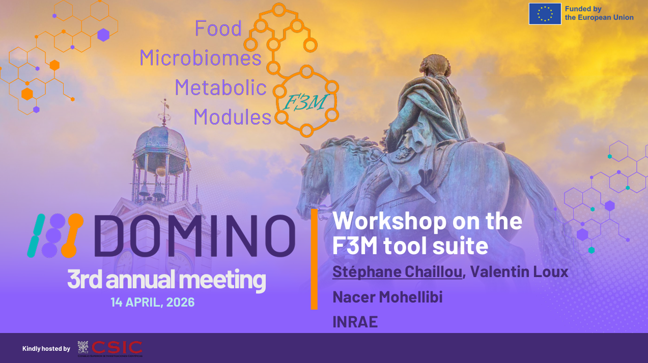DOMINO Workshop on F3M Food Microbiome Metabolic Modules at CSIC Madrid