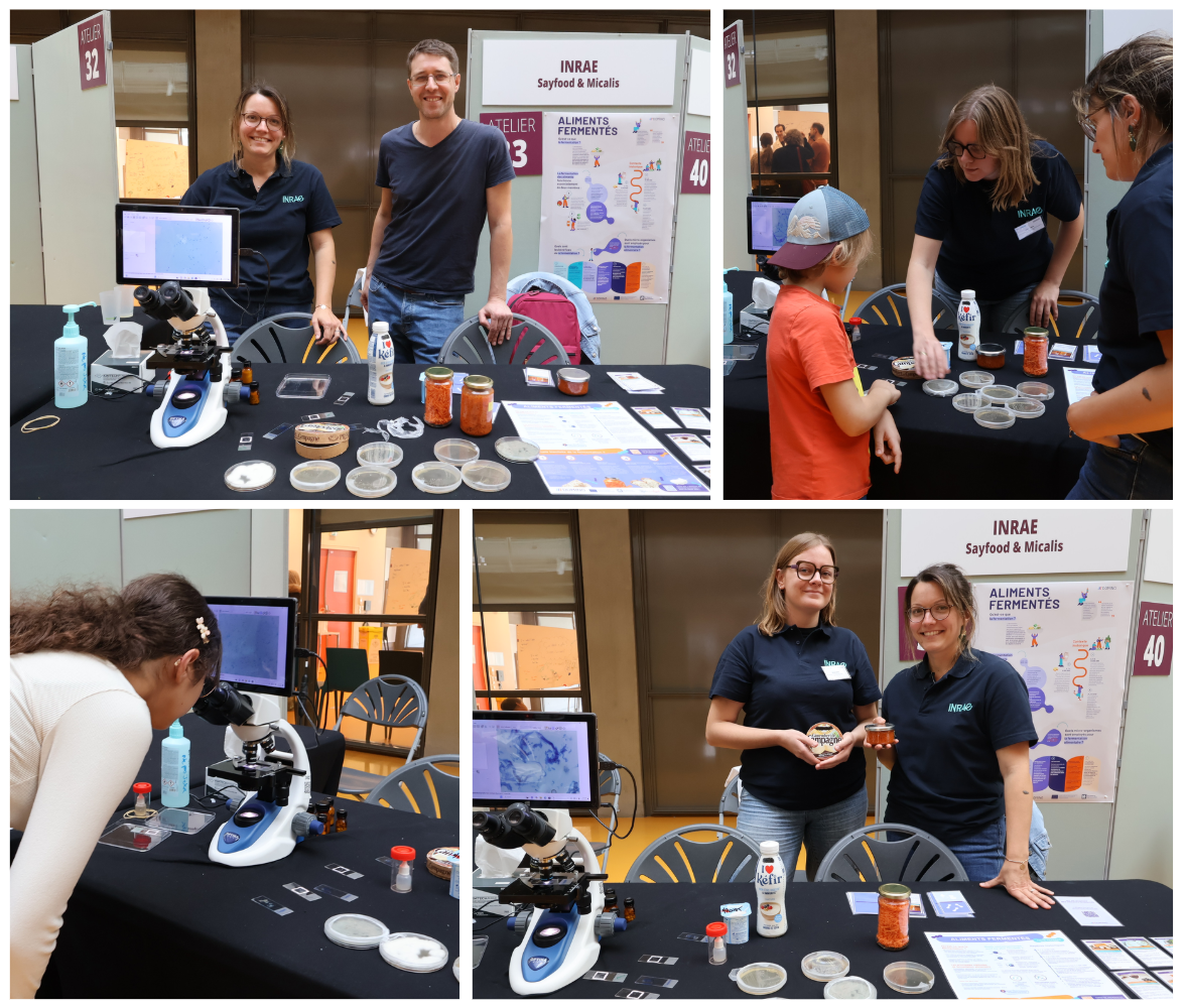 Fermented foods at the Fête de la science Paris-Saclay 2026