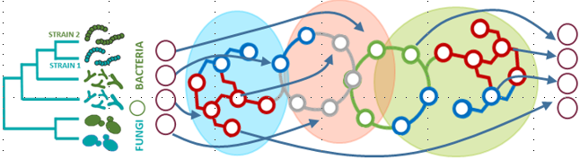 From “synthetic” to defined microbial communities for clearer terminology