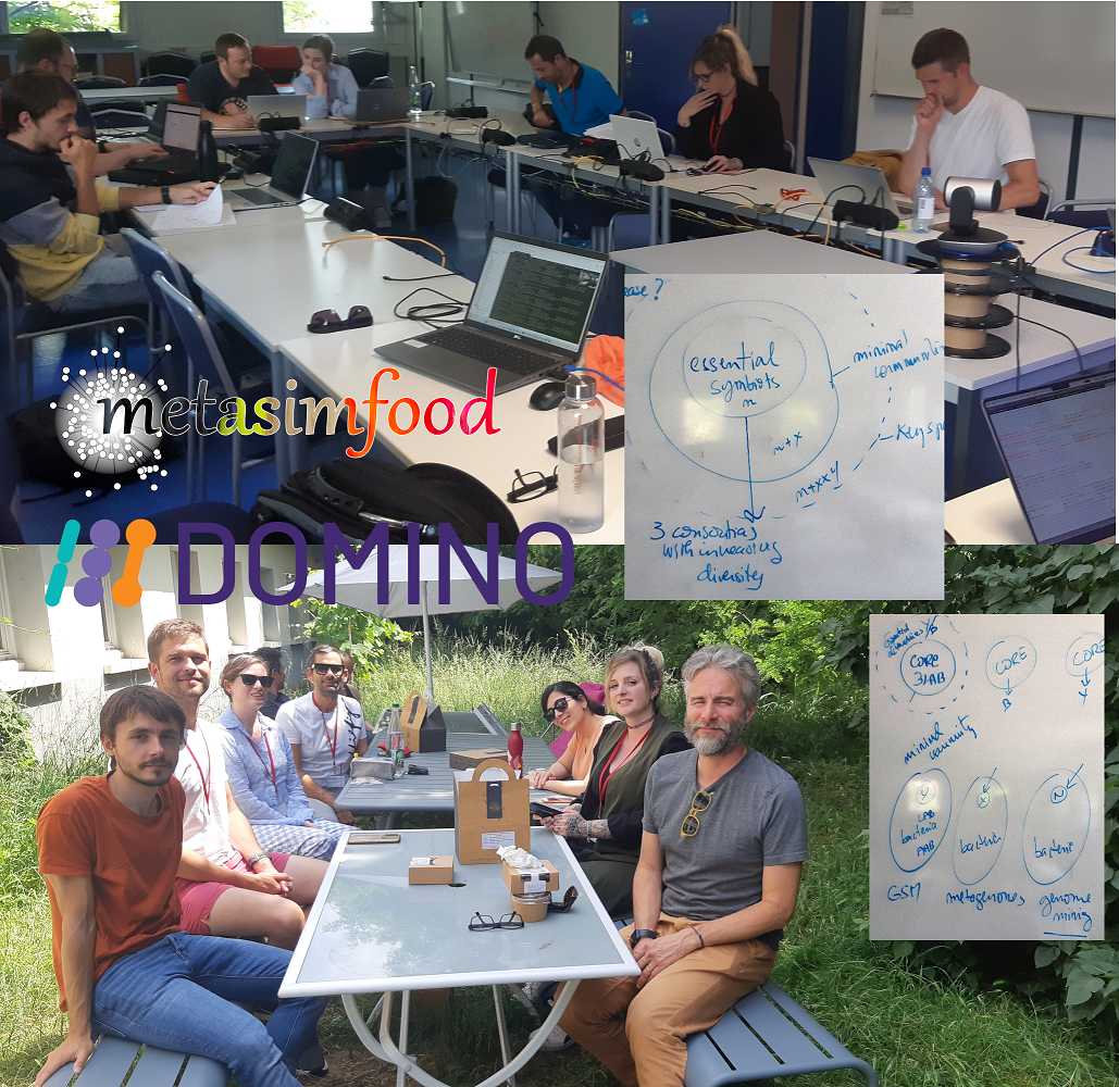 DOMINO Workshop on genome-scale modelling. How to build innovative and forward-looking methodologies in the field of fermented foods
