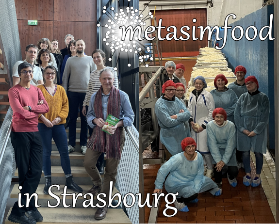 6th scientific meeting of ANR metasimfood project in Strasbourg