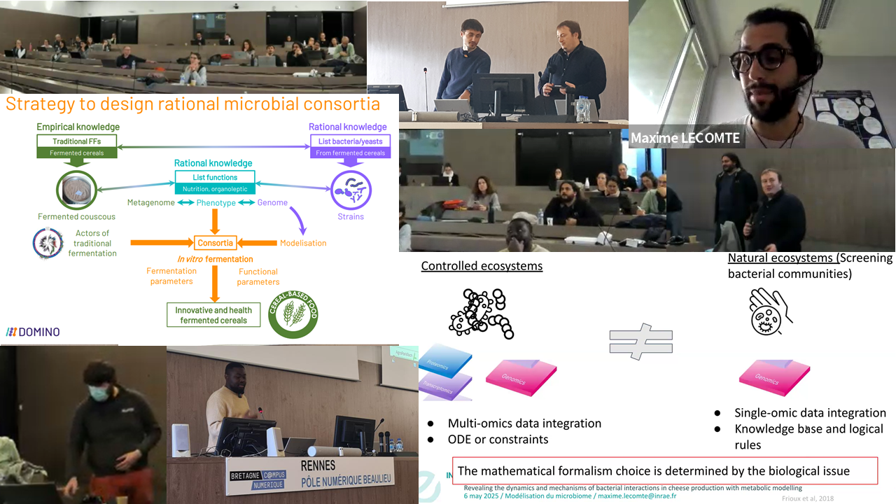 Focus on Microbial Ecology Modelling at the NEM days meeting in Rennes