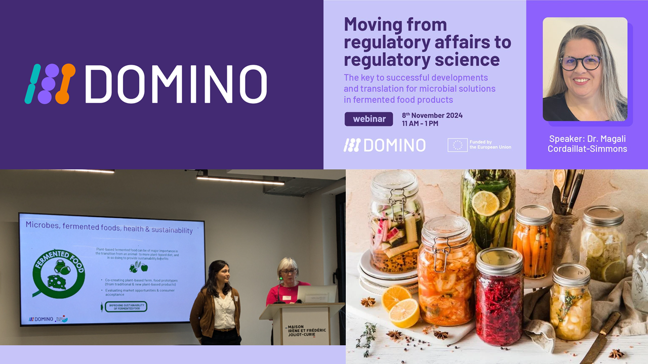 DOMINO: Advancing Food Microbiome Science Across Europe