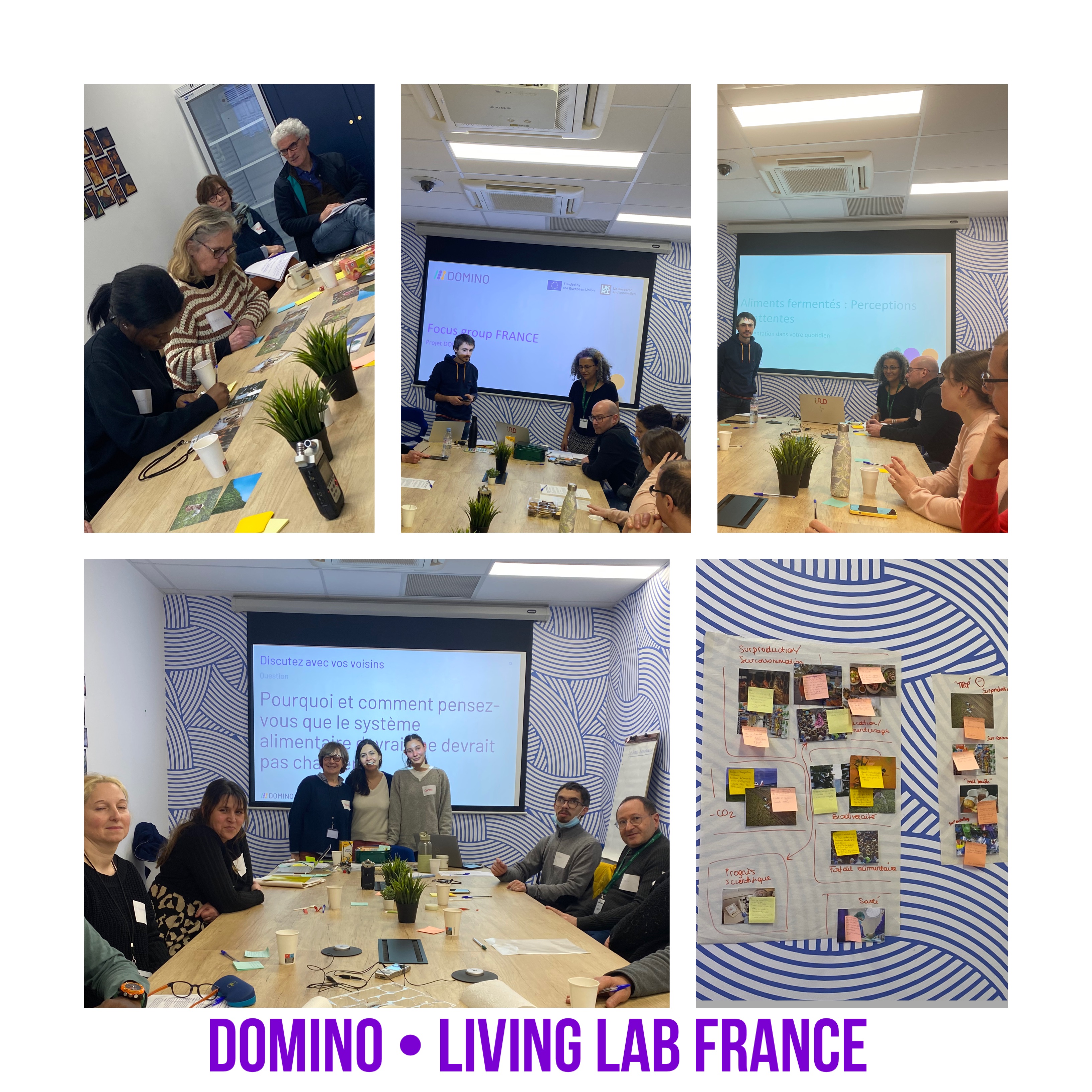 Exploring Traditional and Future Fermented Foods: Insights from France's First DOMINO Living Lab