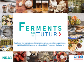 Ferments of the Future Grand Challenge