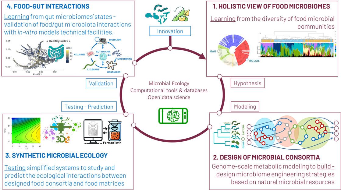 Our strategical framework to design food microbiomes.
