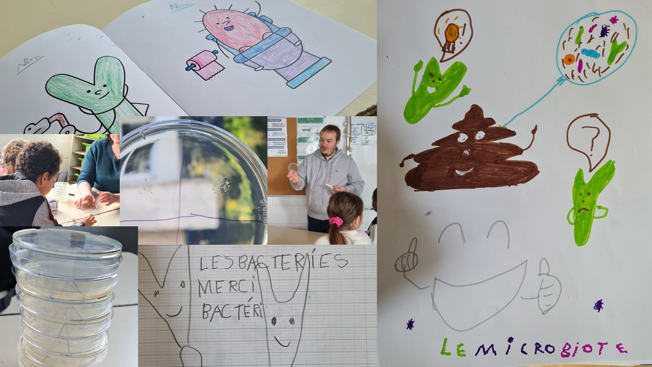 Teaching Kids about the Microbial World: Merci les bactéries !