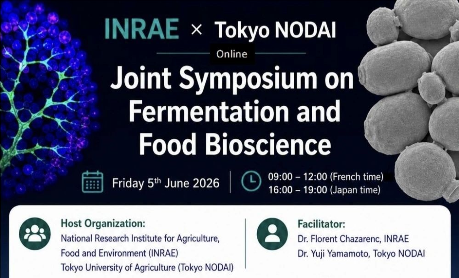 Harnessing gut microbiome diversity for next-generation fermented foods
